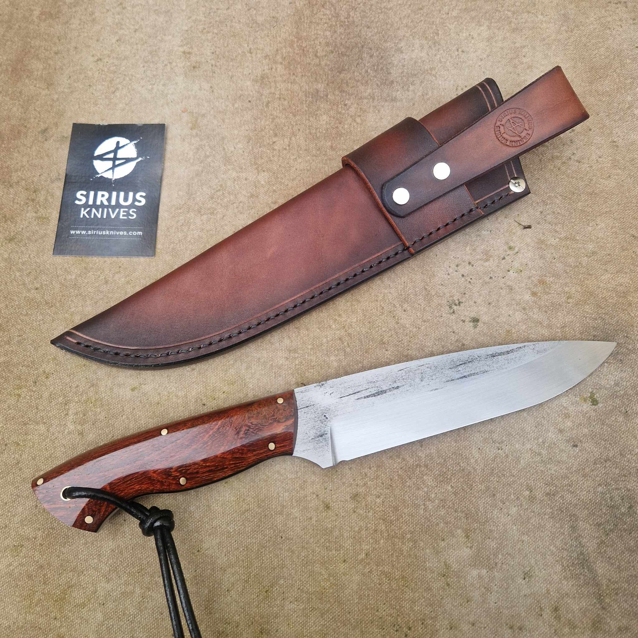 Solid Bushcraft Camp Knife with Camelthorn Wood Handle - Image 3