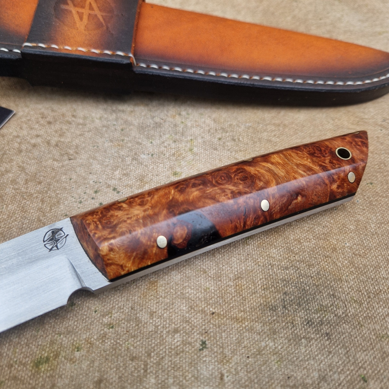 Hunting ''Fenrir'' Knife with Stabilized Alder Burl Handle - Image 4