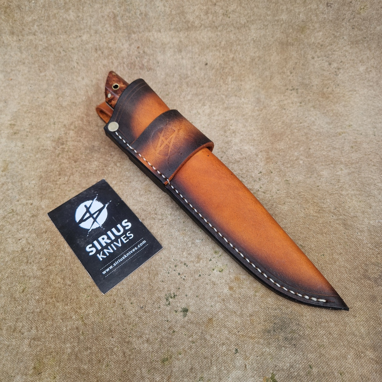 Hunting ''Fenrir'' Knife with Stabilized Alder Burl Handle - Image 6